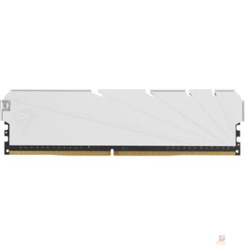 Модуль памяти Netac DDR4 DIMM 8GB NTSSD4P32SP-08W PC4-25600, 3200MHz