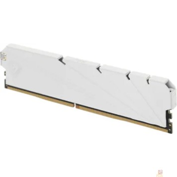 Модуль памяти Netac DDR4 DIMM 8GB NTSSD4P32SP-08W PC4-25600, 3200MHz-2