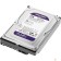 Жесткий диск 1TB WD Purple (WD11PURZ) {Serial ATA III, 5400- rpm, 64Mb, 3.5