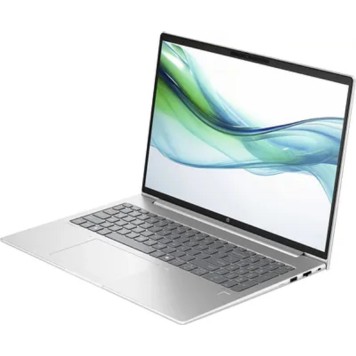 Ноутбук HP ProBook 460 G11 D2FP5ET Silver 16