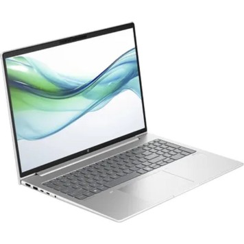 Ноутбук HP ProBook 460 G11 D2FP5ET Silver 16