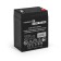 батареи Exegate EX282950RUS Аккумуляторная батарея DT 606 (6V 6Ah, клеммы F1)