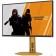 Монитор LCD AOC 24.5