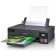 Принтер/МФУ Epson L18050 A3 C11CK38403/C11CK38505/C11CK38503/C11CK38506