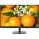 Монитор LCD PHILIPS 27