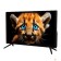LCD, LED телевизоры Topdevice Topdevice 24'' TDTV24BS01H_BK {HD/VA/Smart WildRed/1-8Gb/Black}