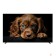 LCD, LED телевизоры Topdevice Topdevice 50