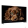 LCD, LED телевизоры Topdevice Topdevice 50