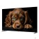 LCD, LED телевизоры Topdevice Topdevice 50
