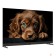 LCD, LED телевизоры Topdevice Topdevice 50