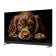 LCD, LED телевизоры Topdevice Topdevice 50