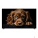 LCD, LED телевизоры Topdevice Topdevice 50