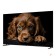 LCD, LED телевизоры Topdevice Topdevice 50
