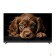 LCD, LED телевизоры Topdevice Topdevice 55