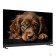 LCD, LED телевизоры Topdevice Topdevice 55