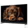 LCD, LED телевизоры Topdevice Topdevice 55