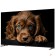 LCD, LED телевизоры Topdevice Topdevice 55