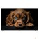 LCD, LED телевизоры Topdevice Topdevice 65