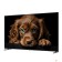 LCD, LED телевизоры Topdevice Topdevice 65