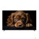 LCD, LED телевизоры Topdevice Topdevice 65