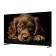 LCD, LED телевизоры Topdevice Topdevice 65